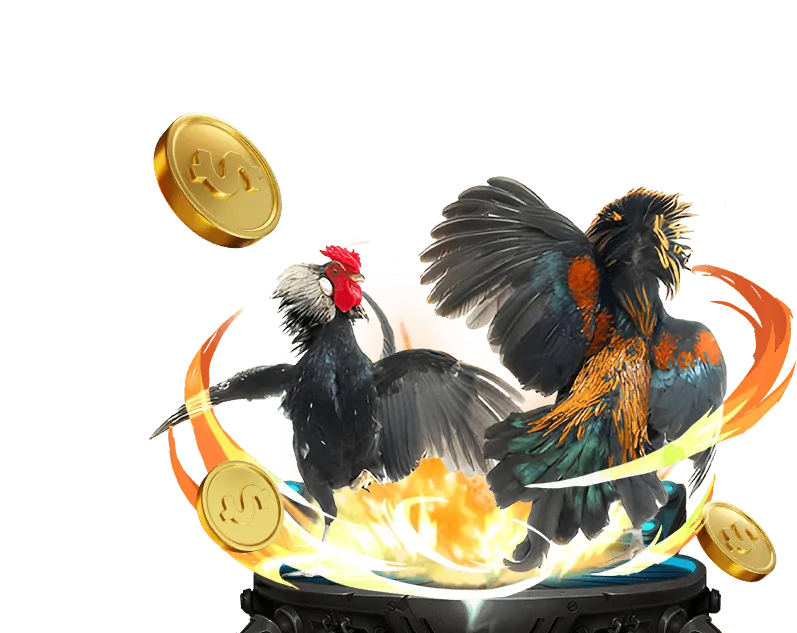 Các khuyến mãi đá gà hấp dẫn từ xoso66